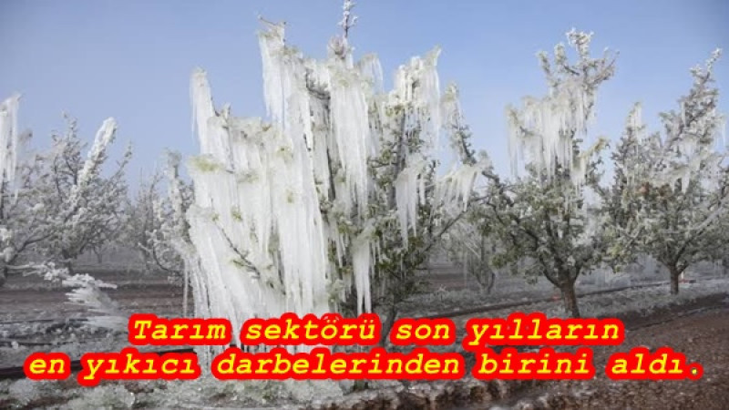  Tarım sektörü son yılların en yıkıcı darbelerinden birini aldı.