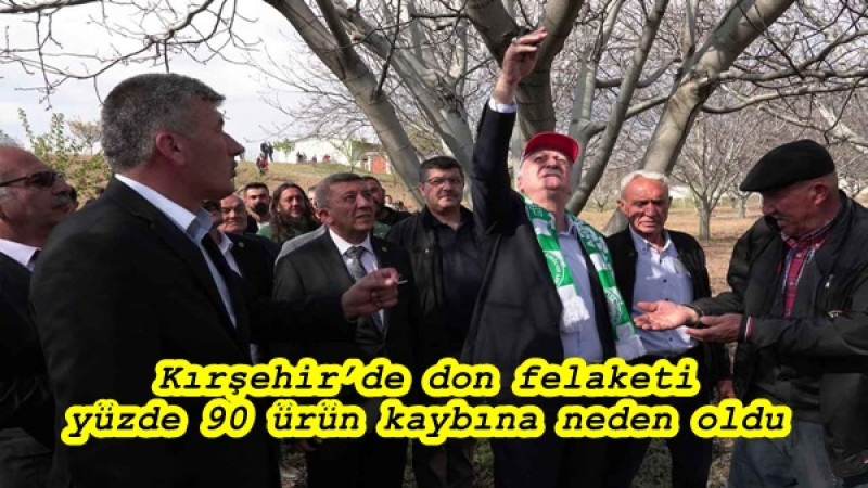 Kırşehir’de don felaketi yüzde 90 ürün kaybına neden oldu