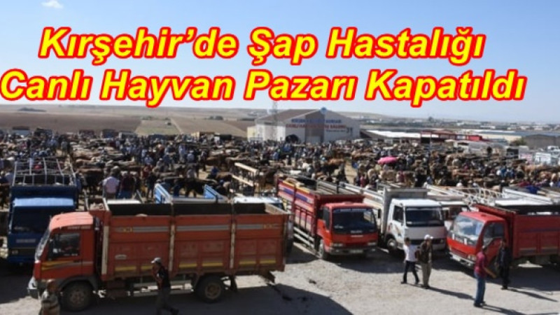 Kırşehir’de Şap Hastalığı Canlı Hayvan Pazarı Kapatıldı