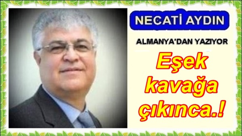 Eşek kavağa çıkınca.! 