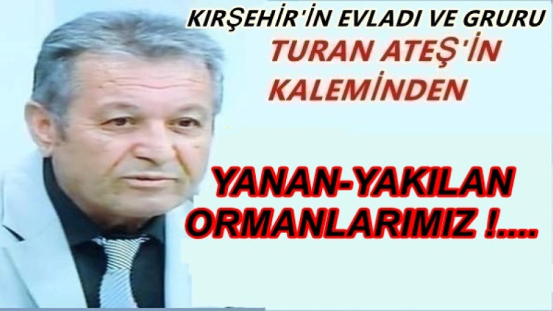 YANAN-YAKILAN ORMANLARIMIZ !....