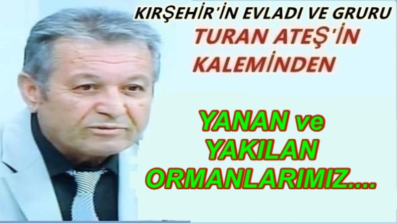 YANAN ve YAKILAN ORMANLARIMIZ....