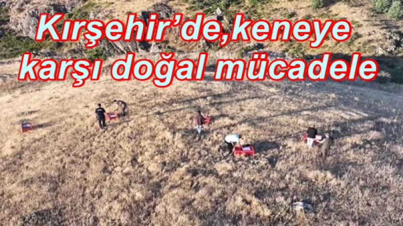 Kırşehir’de,keneye karşı doğal mücadele