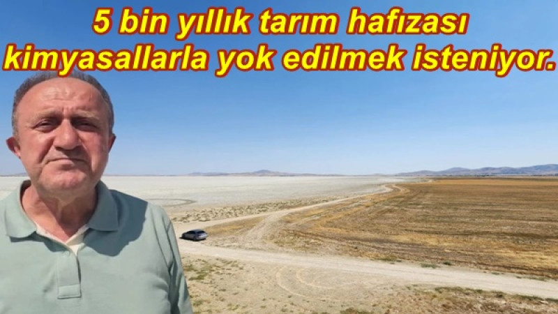 5 bin yıllık tarım hafızası kimyasallarla yok edilmek isteniyor.