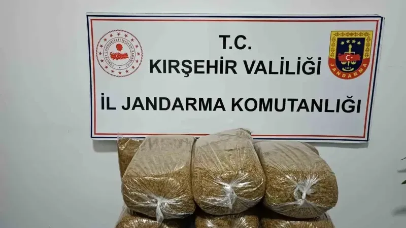 Yolcu otobüsünde kaçak tütün operasyonu!