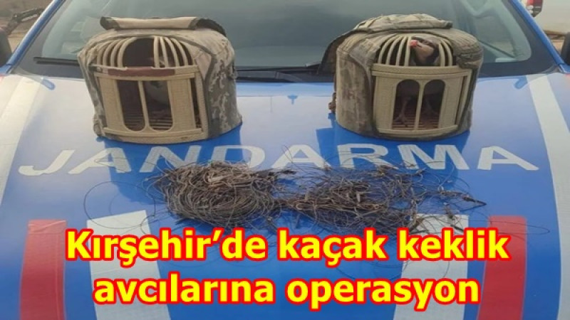 Kırşehir’de kaçak keklik avcılarına operasyon