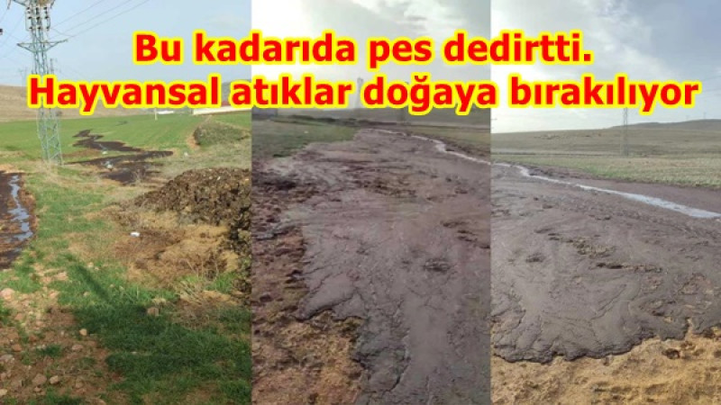 Bu kadarıda pes dedirtti.Hayvansal atıklar doğaya bırakılıyor