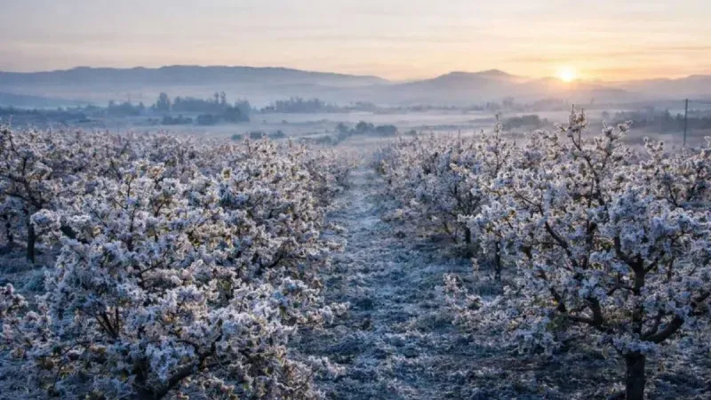 METEOROLOJİDEN KIRŞEHİR'E UYARI