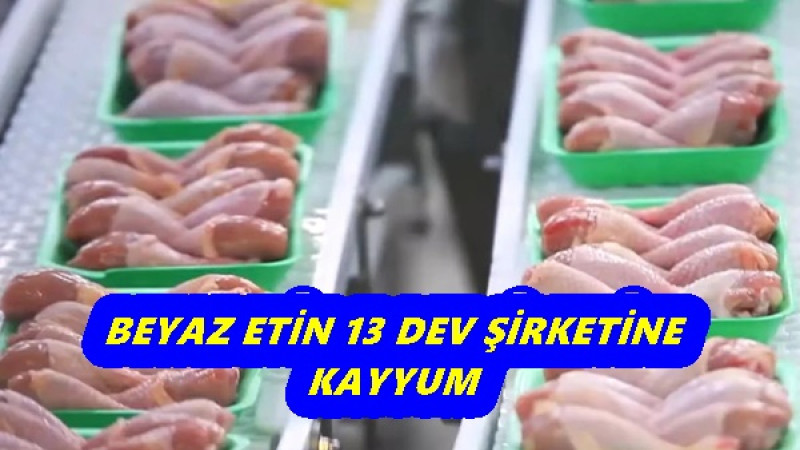 BEYAZ ETİN 13 DEV ŞİRKETİNE KAYYUM