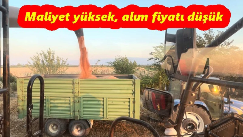 Maliyet yüksek, alım fiyatı düşük